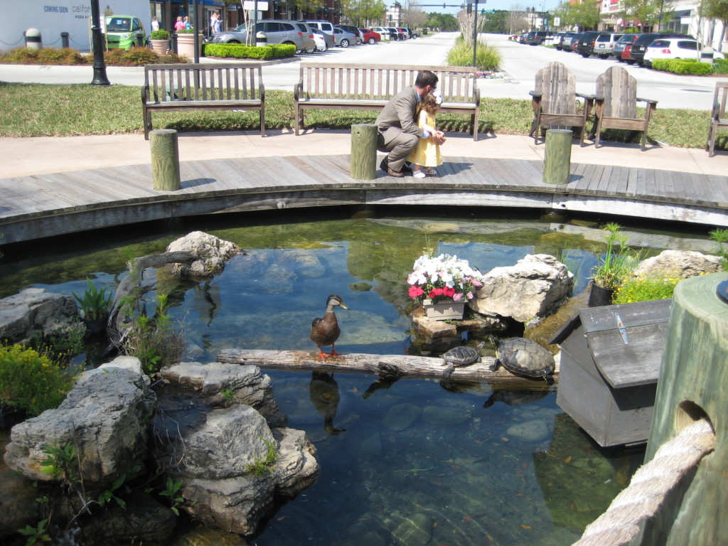 Pond at Town Center