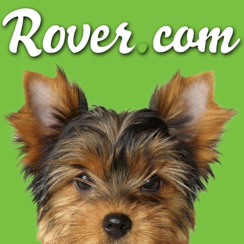For The Dog Lovers: Rover.com Offers a Safe Solution for Pet Sitting