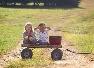 On the Road: Jax to Sky Top Orchard in North Carolina Sky Top Orchard
