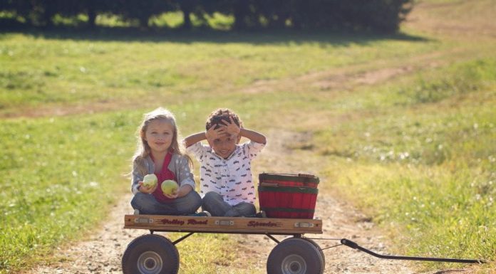 On the Road: Jax to Sky Top Orchard in North Carolina Sky Top Orchard
