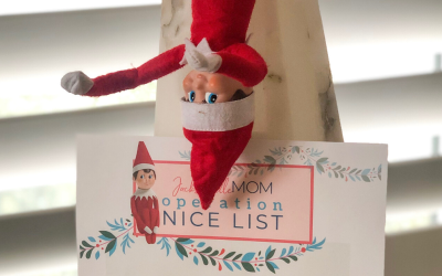 The Elf on the Shelf — Operation: Nice List