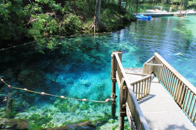 Florida State Parks: A Mom's Guide to Enjoying the Real Florida