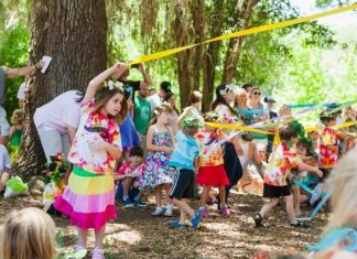 Waldorf-Inspired Learning at Sea Turtle Early Learning Center