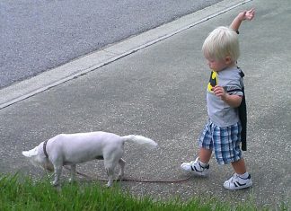 Pets and the Kiddies: Keeping the Love For Our Family Dog