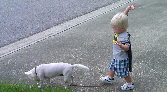 Pets and the Kiddies: Keeping the Love For Our Family Dog
