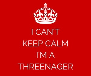 I CAN'T KEEP CALM I'M A THREENAGER