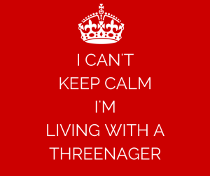 I CAN'T KEEP CALM I'M LIVING WITH A THREENAGER