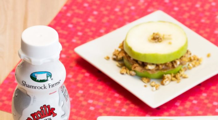 Back-to-School Snacks with Shamrock Farms