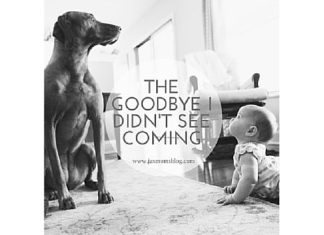 The Goodbye I Didn’t See Coming