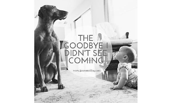 The Goodbye I Didn’t See Coming
