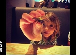 Small Spaces, Quiet Places: Keeping a Busy Toddler Busy!