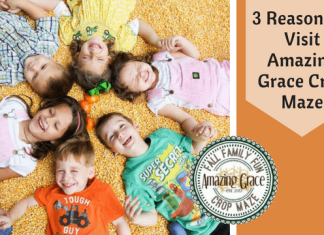 3 Reasons You Need To Visit Amazing Grace Crop Maze