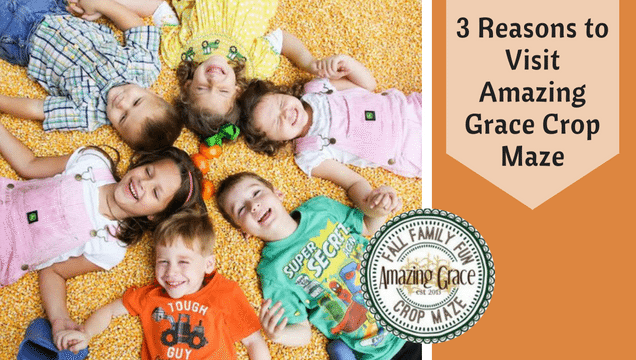 3 Reasons to Visit Amazing Grace Crop Maze