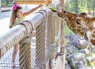 The Best Monthly & Annual Memberships for Jacksonville Families memberships