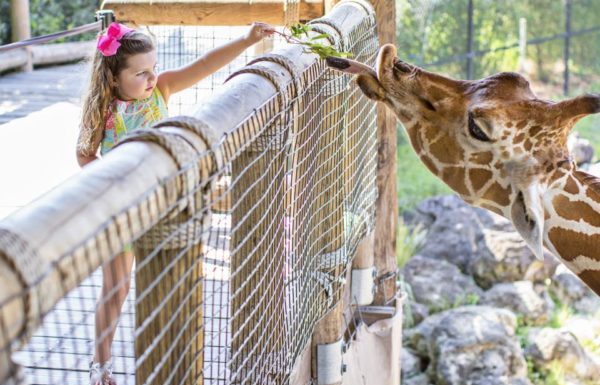 The Best Monthly & Annual Memberships for Jacksonville Families memberships