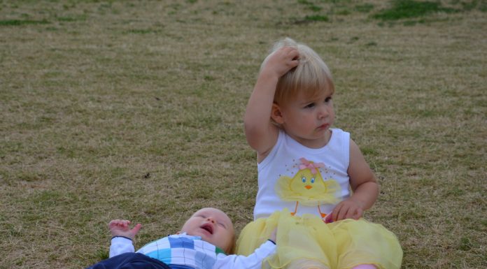 My Year as the Perfect Mom