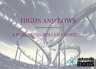 Highs and Lows: A Parenting Roller Coaster