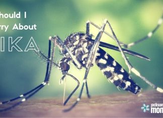 What Not to Worry About :: Zika Virus