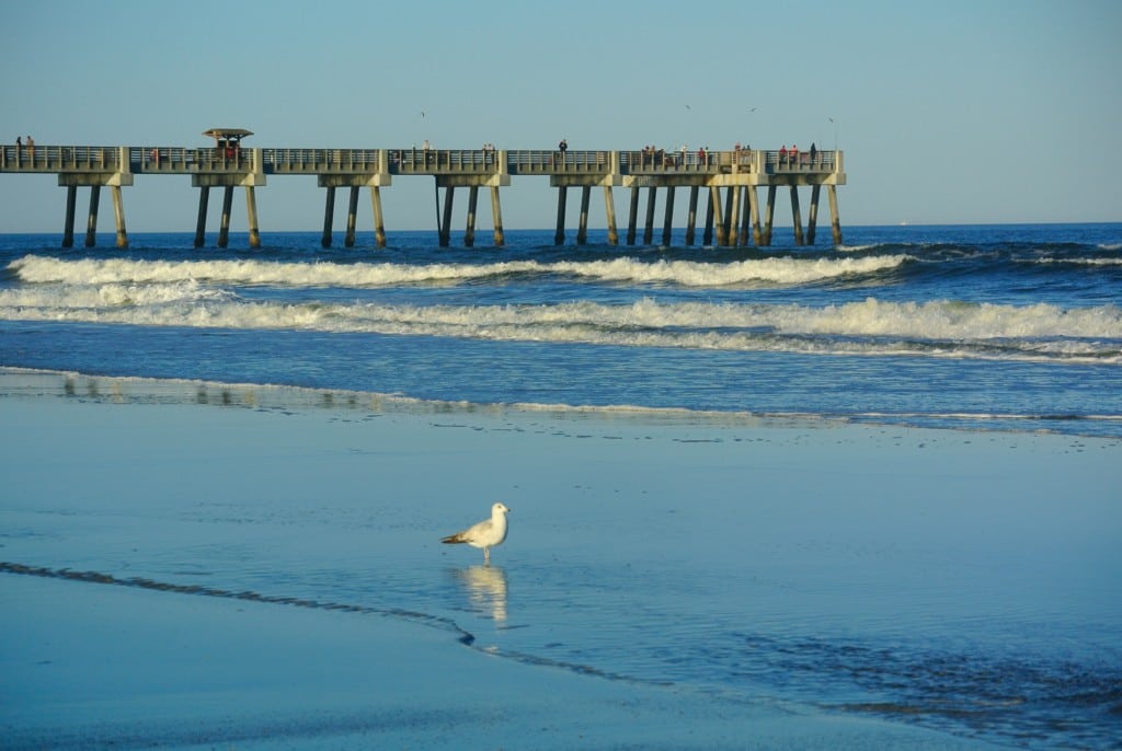 Take a walk or go fishing on the Jacksonville Beach Pier.