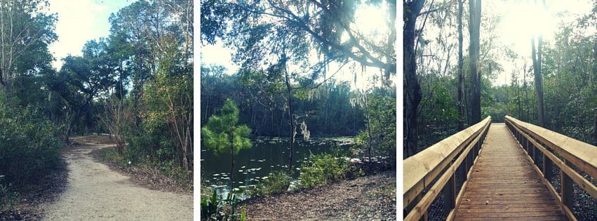 Get physical together with a hike at Jacksonville Arboretum and Gardens.