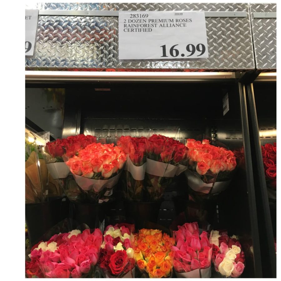 Don't you know someone who needs a bouquet? 