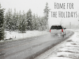 Why We NEVER Travel During The Holiday Season