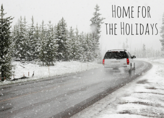 Why We NEVER Travel During The Holiday Season