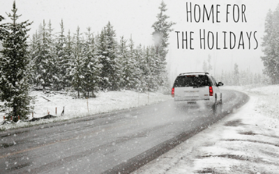 Why We NEVER Travel During The Holiday Season