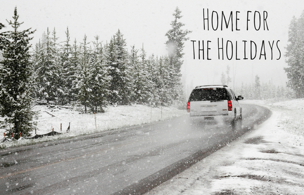 Why We NEVER Travel During The Holiday Season