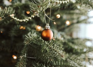 Why My Christmas Tree Goes Up Before Thanksgiving