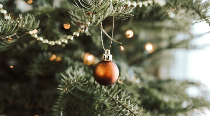 Why My Christmas Tree Goes Up Before Thanksgiving