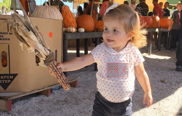 Tips For Transitioning Your Child’s Closet From Summer To Fall