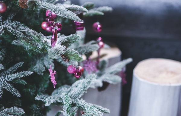Why My Christmas Tree Stays Up PAST New Year’s Day! Christmas Tree
