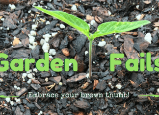Gardening Fails: Embracing My Brown Thumb