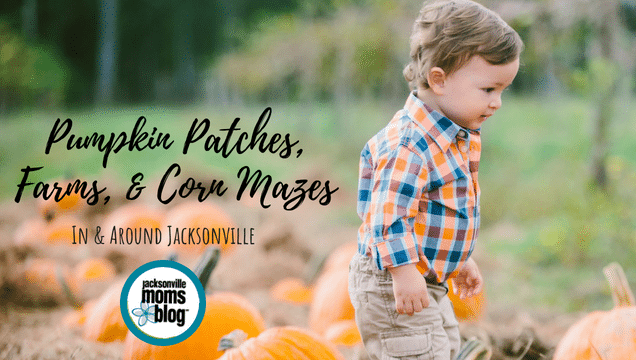 Pumpkin Patches, Farms, & Corn Mazes In Jacksonville!