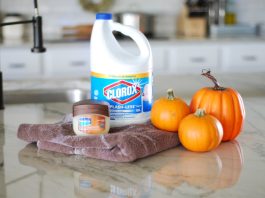 Preserving Your Pumpkin: The Trick to Keeping Your Jack-O’-Lantern a Treat
