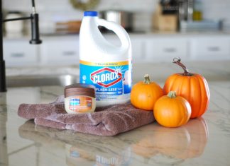 Preserving Your Pumpkin: The Trick to Keeping Your Jack-O’-Lantern a Treat