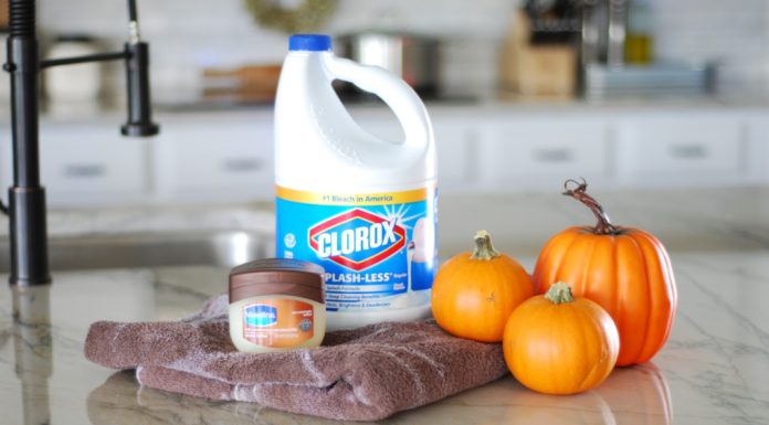Preserving Your Pumpkin: The Trick to Keeping Your Jack-O’-Lantern a Treat