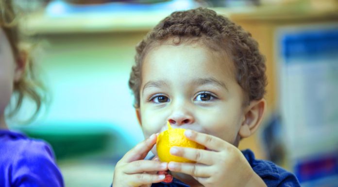 La Petite Academy: Where Children’s Education Meets Healthy Living