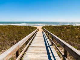 Live Like a Local: Ponte Vedra & Nocatee Live Like Local Ponte Vedra