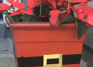 DIY Holiday Projects: Santa Claus Planter & Festive Wall Décor