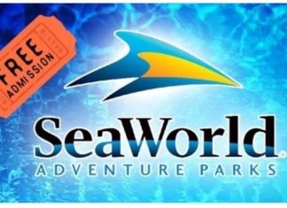 Free SeaWorld Admission for Preschoolers
