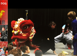 Experience the Chinese New Year Celebration