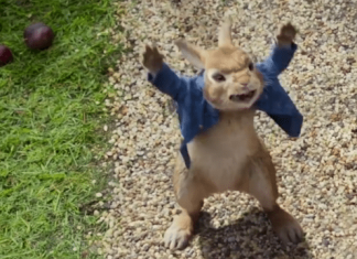Peter Rabbit, a Stone Cold Killer?