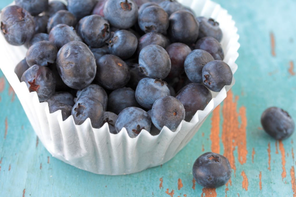 blueberry picking near jacksonville