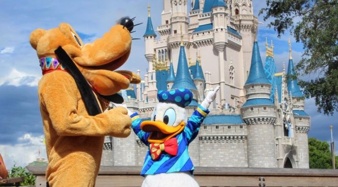 6 Tips for Visiting Disney as a Florida Resident