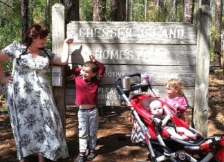 Jacksonville Day Trip: The Okefenokee Swamp