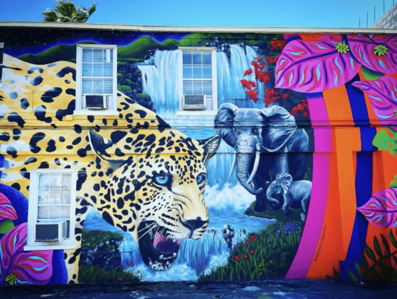 murals in jacksonville