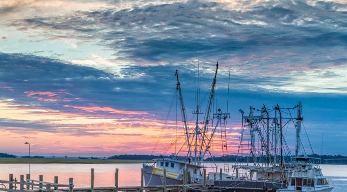 Live Like a Local: Mayport Live Like a Local Mayport