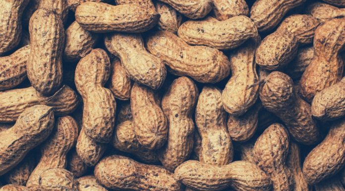 First-Day-of-School Anxieties of a Food Allergy Parent